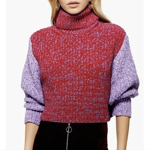 Topshop Cropped Red & Purple Knit Turtleneck Sweater
